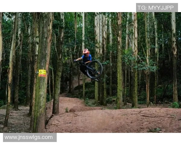 专业解读：广州极限运动队的整体压制打法