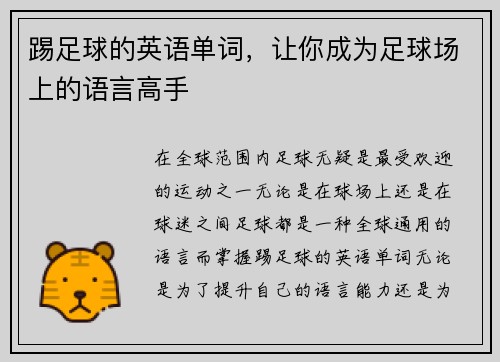 踢足球的英语单词，让你成为足球场上的语言高手