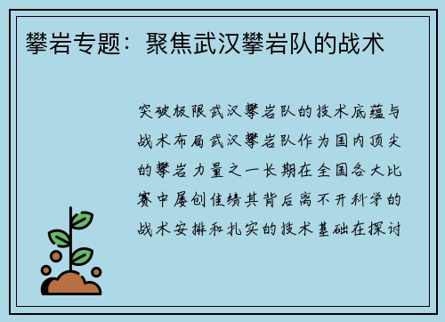 攀岩专题：聚焦武汉攀岩队的战术