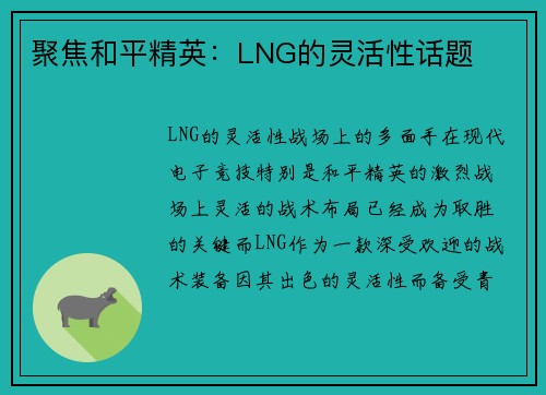 聚焦和平精英：LNG的灵活性话题